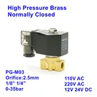 Air Water Pressure Water High Pressure Valves Hoyan PG Air Water 24V 12V 220V 110V High Pressure Solenoid Valve
