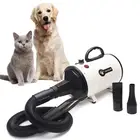 Power Motor High Power Motor Dryer For Pet