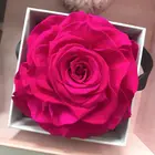 Wedding Cm 2019 Colorful Natural Eternal Preserved Austin Rose Head For Wedding Decoration Flower 2-3 Cm