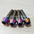 Titanium Cap M3 M4 M5 M6 M8 Factory Price Hexagon Socket Screw Titanium Hex Cap Screw Titanium Hex Bolt