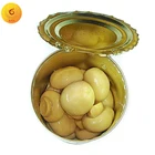Good selling canned mushroom whole in factory price