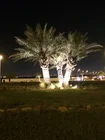 Rgb Rgb Light Led Garden DC12V 8W 6W 4W RGB Color Changing Ground Spike LED Landscape Garden Spot Light