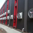 Chicken Chicken Chicken Farming Chicken Farming/ Chicken Farming Ventilation System/