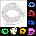 Led Rgb Light Led Rgb Light Hot LED Neon Flexible Strip 12V 24V 110V 220V RGB LED Flexible Neon Strip Light