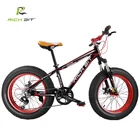 Bicycle OEM Rich Bit TOP-015 Kid Bicycle