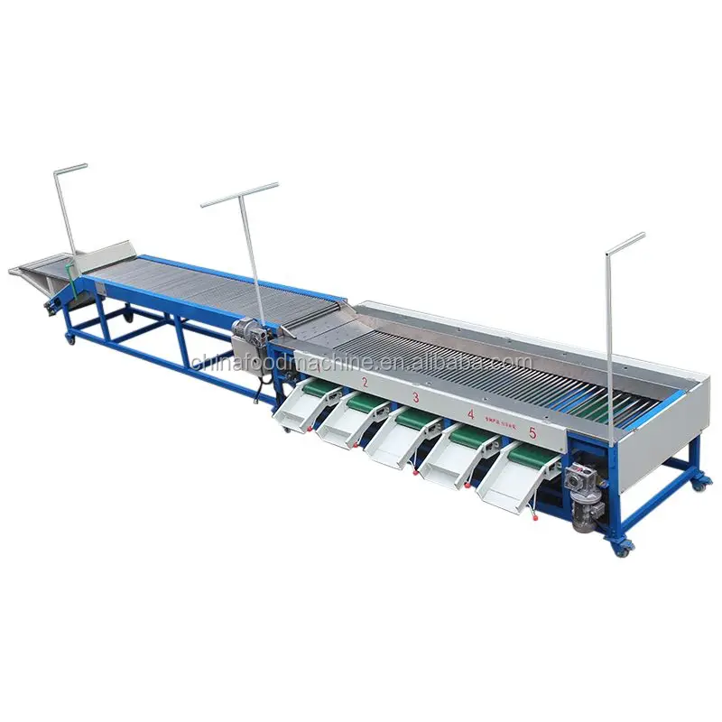 Calibrating Apple Sorter Onion Size Citrus Sorting Machine supplier