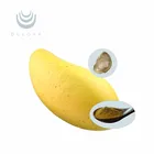 African 100% Natural Herbal Extract African Mango Seed For Fat Burner In 2021