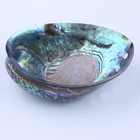 Abalone Shell Shell Natural Aquarium Landscape Crafts Raw Abalone Shell
