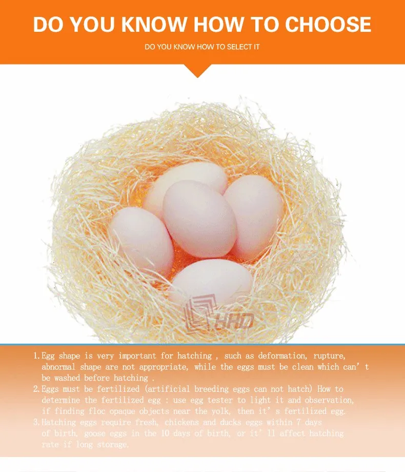 Eggs Chickenduck Incubator Controller, HHD, Xm-18 - detail 16