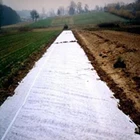 Agricultural New Design Ground Cover Nonwoven For Agricultural Shandong With Great Price Frost Cloth Film