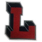 Team Patch Patches Name Patch Division Team Customized Chenille Patch