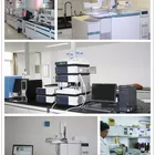 Research Intermediate High Quality Ginsenoside/50647-08-0/ Ginseng Extract / Pharmaceutical Intermediate / Tech Research