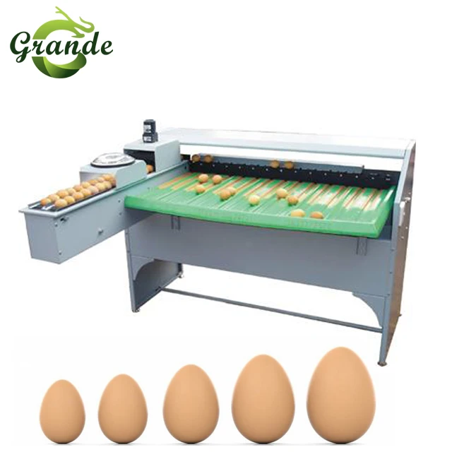 egg machine for sale