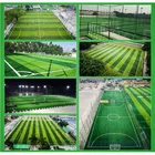 Field Artificial Grass Football Field Fast Shipping Artificial Grass For Football Pitch Football Turf Sports Field