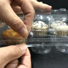 Cupcake Plastic Containers Hot Sale 6 Cupcake Containers Plastic Disposable Clear Easily To Freeze Or Carry