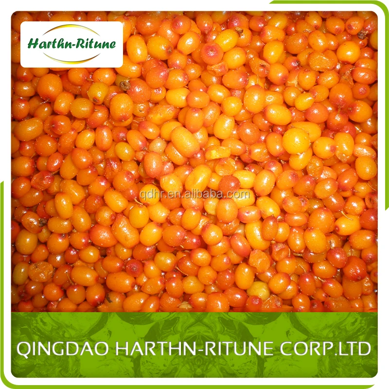 Wholesale Price IQF Frozen Fruits Bulk 10kg Frozen Sea Buckthorn details