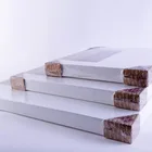 Canvas Mont Marte Canvas S.T. 30.5x60.9cm