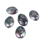 Abalone 50-60mm Natural Polished Abalone Shell Natural Craft Seashell
