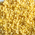 Frozen Corn Supplier Of Qingdao Huahong Food Since 1996