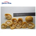 Abalone Abaloneabalone New Zealand Canned Abalone In Brine 150g