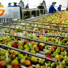 Tomato Grading Apple Tomato Grading Machine/potato Sorting Machine/fruit Sorting Processing Machine With Best Price