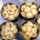 Pears Pear Canned Pear Mikado Brand Canned Fruit Canned Pears In Light Syrup Or In Pear Juice In LS Or In PJ
