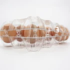 Egg 30 For Eggs Plastic Blister Packaging Disposable Plastic Egg Tray Blister 12 30 Holes Packs Quail Plastic PVC Container For Eggs