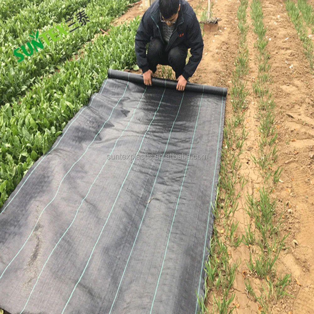 creatief Zes bellen 90gsm 4*50m Agricultural Anti Weed Mat,100% New Pp Material Ground Cover  Weed Barrier Landscape Fabric,Garden Weed Control Mat - Buy 90gsm 4*50m  Agricultural Anti Weed Mat,100% New Pp Material Ground Cover Weed