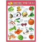Print Paper Poster Printing Single Side Print Double Laminate Kids Education Paper Poster