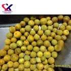Factory Price Citrus Oil Milling 304 Stainless Steel Fruit Essential Oil Extracting Machine