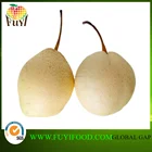 Pear Pears Fresh Pear Su Pear With Best Price For Wholesale Pears