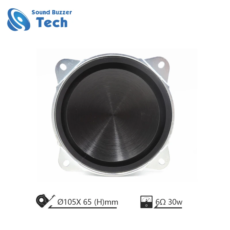 6 ohm 30 watt speaker