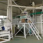 Flour Wheat Wheat Wheat Flour Mill Plant 2019 Hot Sale High Quality Flour Mill Complete Plant China Manufacture Wheat
