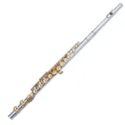 Intermediate Grade 16 Closed Hole Silver Plated Body Gold Plated Key Flute