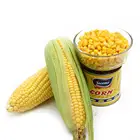 Corn Corn Canned Corn Canned Sweet Kernel Corn Fresh Corn