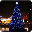 Tree Plaza Illuminated Giant Christmas Tree 800 Cm Big Height