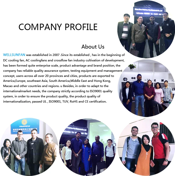 company profile.jpg