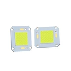 Chip Flood Newest Design 5500k 100w Cob Led Chip 4046 Chip Cob Led For Flood Light