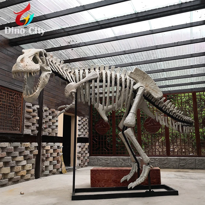 Escultura De Esqueleto De Dinosaurio Animado Para Parque,Tamaño Real,5m -  Buy Esqueleto De Dinosaurio,Esqueleto De Dinosaurio Animado,Escultura De  Esqueleto De Dinosaurio Product on 
