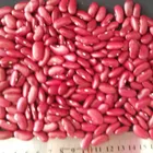 Beans Red Beans 2019 Crop Dard Red Kidney Beans Market Price