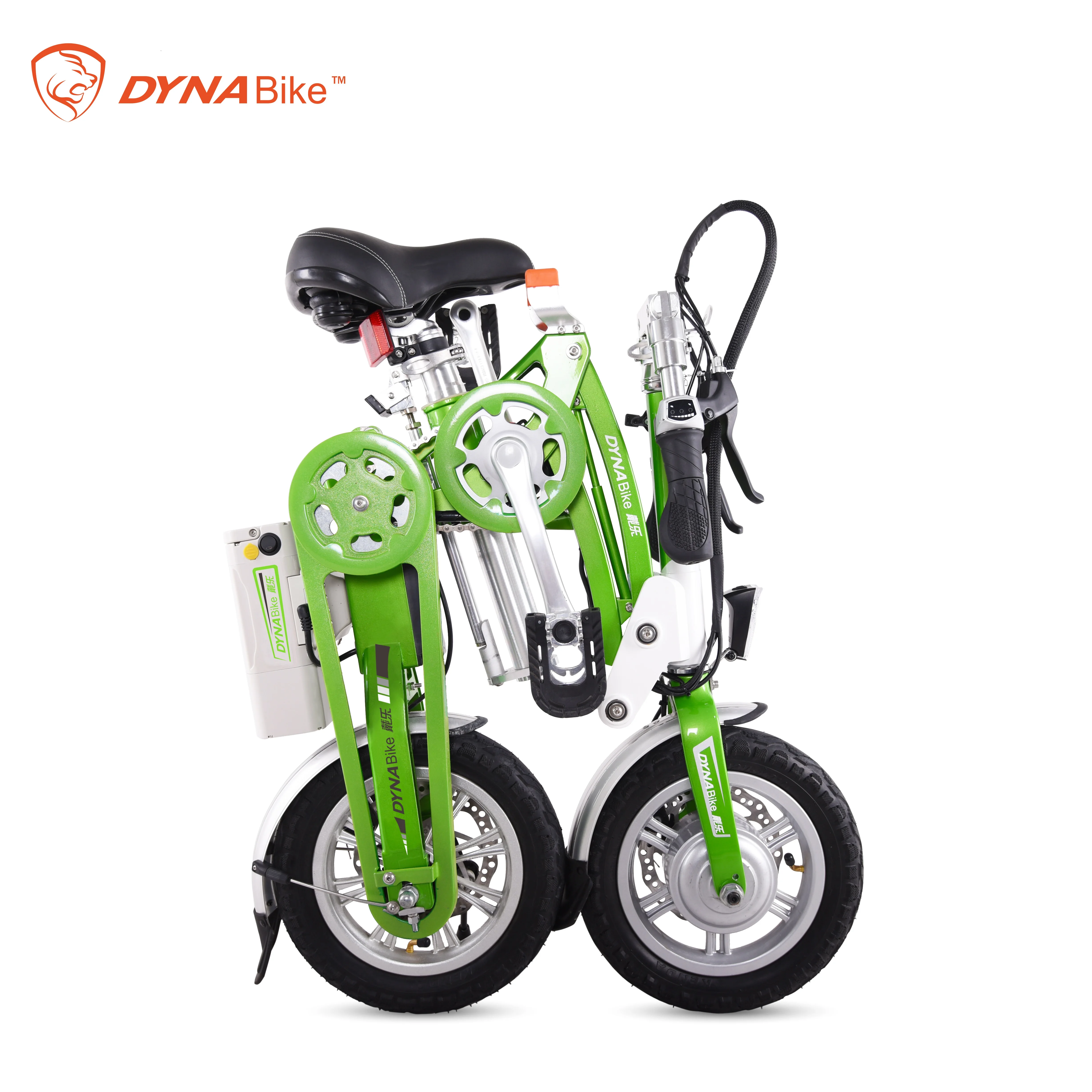 dyna bike electric