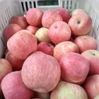 Apple Apple High Quality And Cheap Price Fuji Apple Best Price Fuji Apple Good Farmer Red Fuji Apple