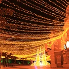 Holiday Holiday 100LED 10M Rice Light Outdoor Plug Type Christmas Xmas Wedding Party Decoration Garland China LED Lighting