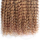 Ali Hair Indian Ali Best Wholesale Indian Human Hair Wig Hair Extensions Wigs For Black Women