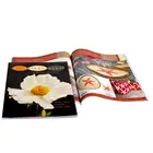 Offset Printing Full Color Printing Offset Printing Company Custom Service Cheap Offset Catalogue And Brochure Printing