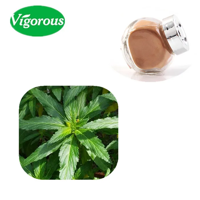 Damiana Leaf Extract