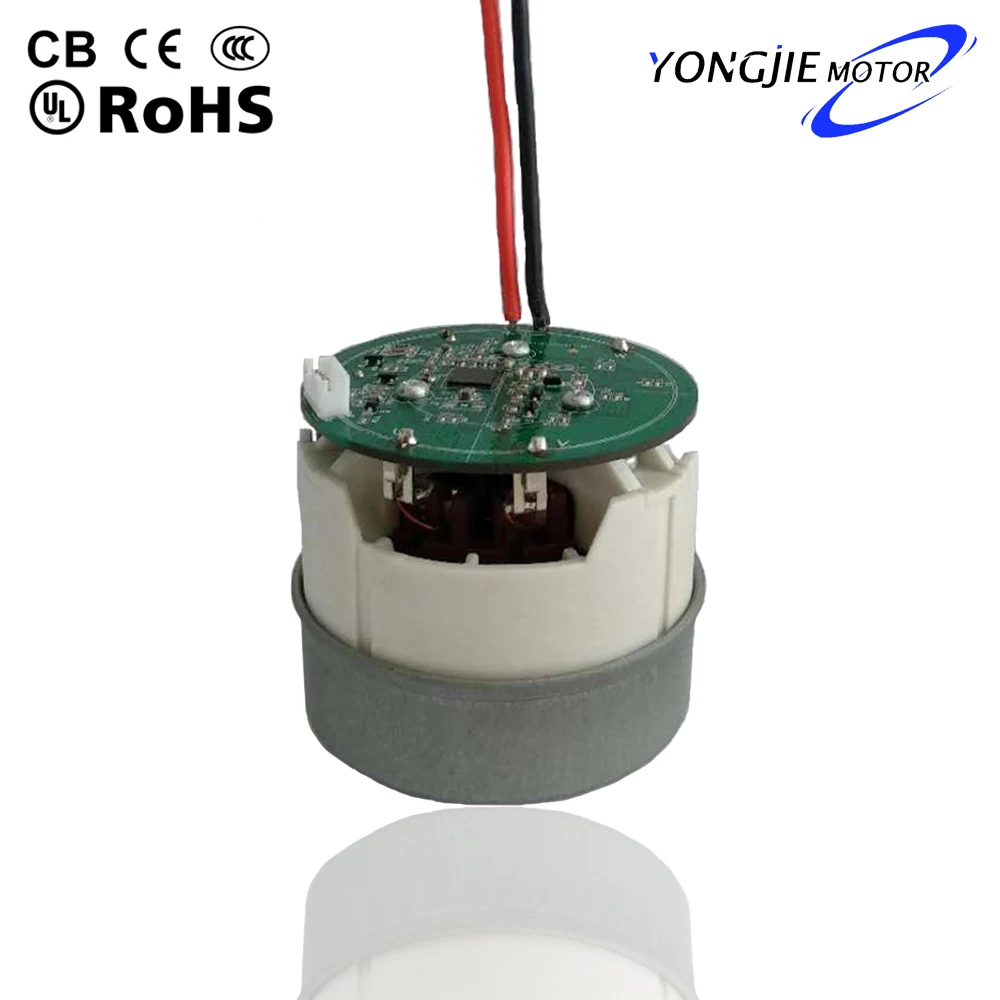 250w bldc motor