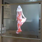 Front Glass Front Adhesive Transparent Rear Projection Screen Film For Glass