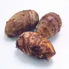 Fresh Taro 2018 new season new fresh Taro Chinese Taro