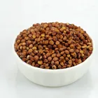 Chinese High Quality Glutinous Sticky Red Sorghum White Sorghum Price